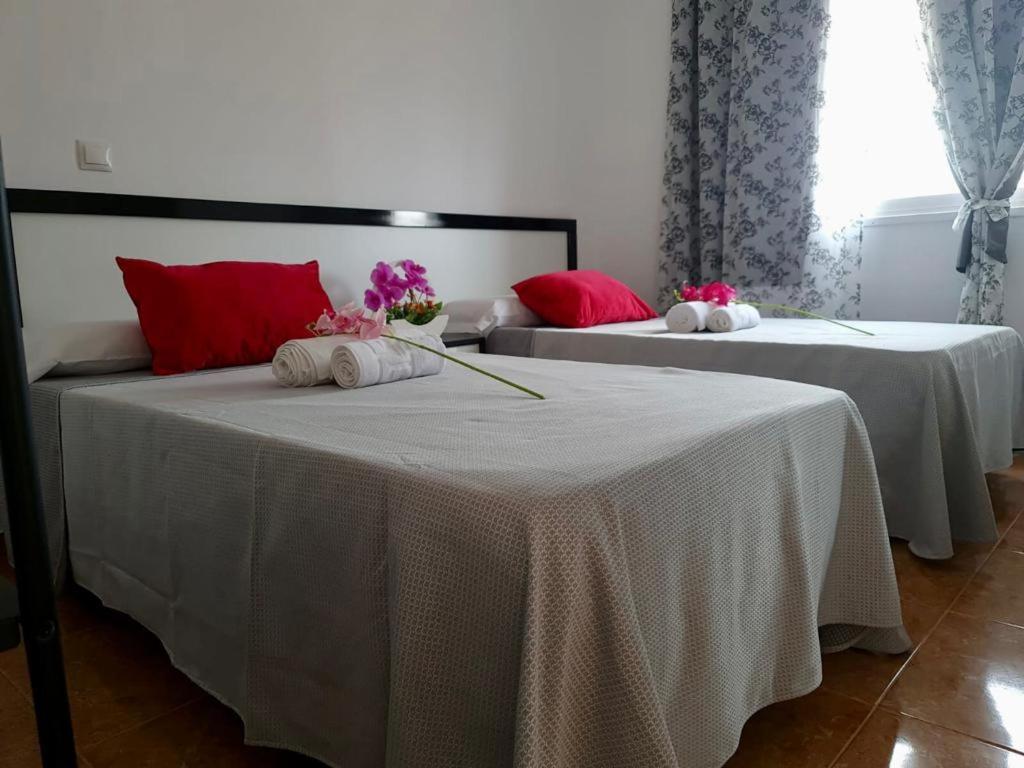Franmay Apartments - 7 Modern Apartments Near The Beach & City, Perfect For Nomads, Travellers, Families, Watersports! Santa Maria Dış mekan fotoğraf
