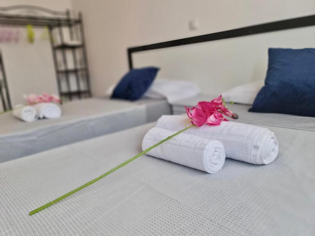 Franmay Apartments - 7 Modern Apartments Near The Beach & City, Perfect For Nomads, Travellers, Families, Watersports! Santa Maria Dış mekan fotoğraf