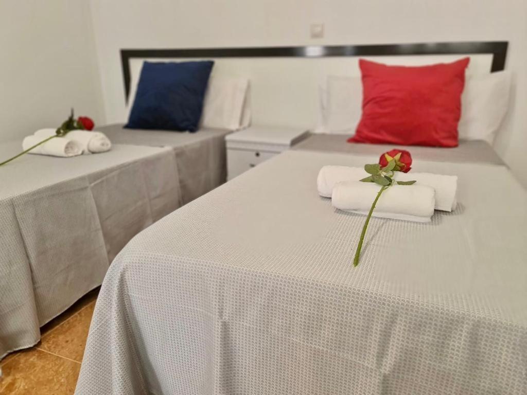 Franmay Apartments - 7 Modern Apartments Near The Beach & City, Perfect For Nomads, Travellers, Families, Watersports! Santa Maria Dış mekan fotoğraf